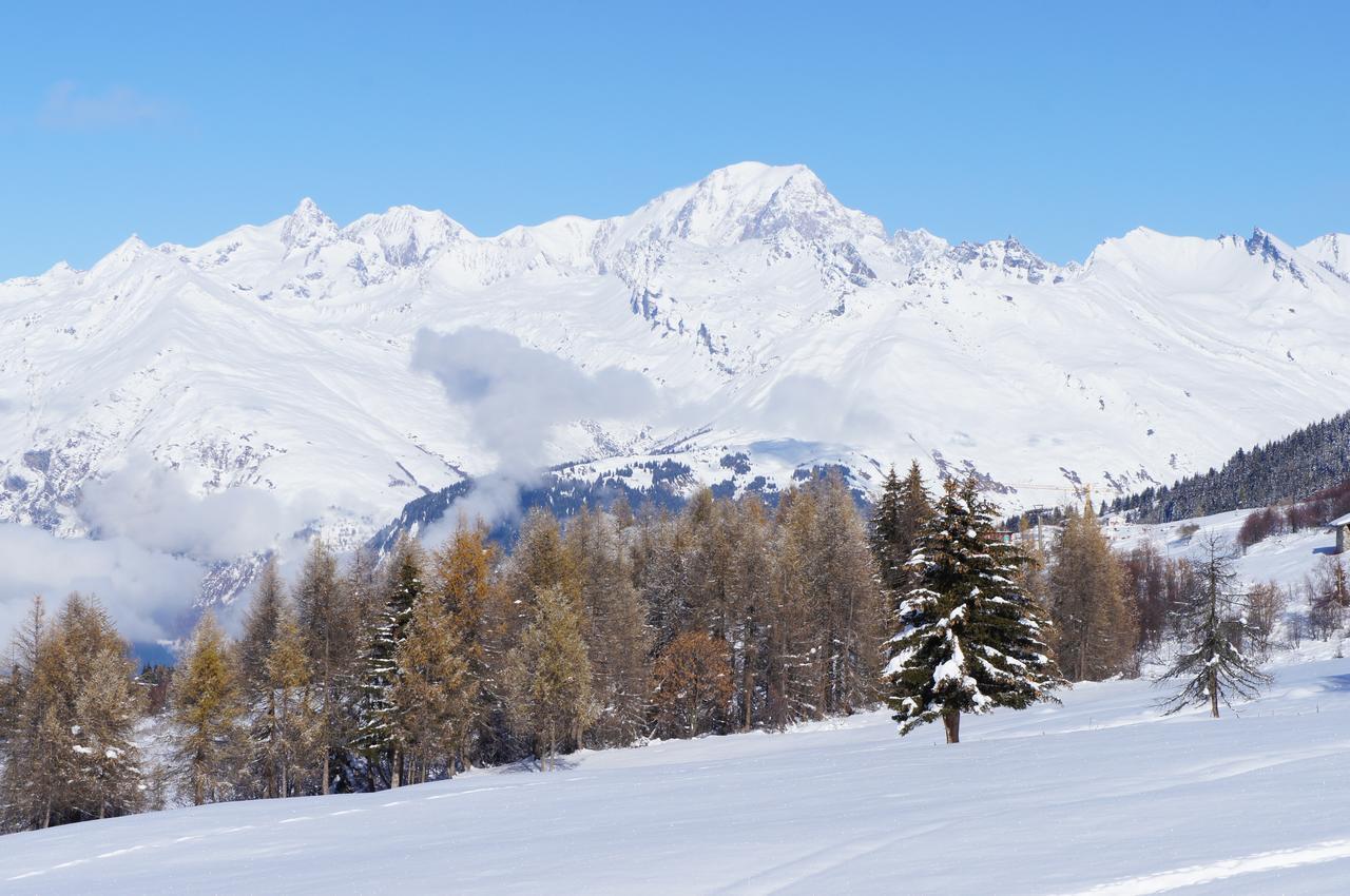 Chalet Les Amis Peisey-Nancroix Exteriör bild